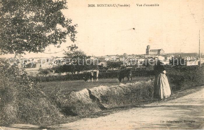 Montaigu Vendee Vue d ensemble