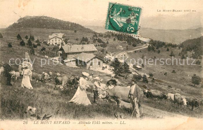 Mont Revard Panorama