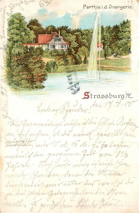 Strassburg Elsass Parthie in der Orangerie