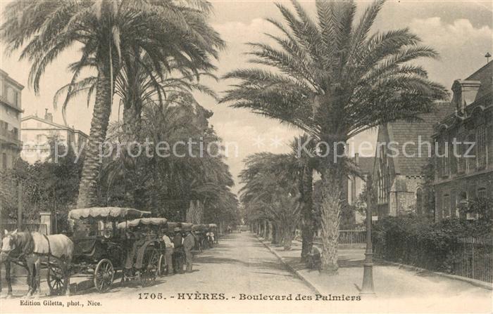 Hyeres les Palmiers Boulevard des Palmiers