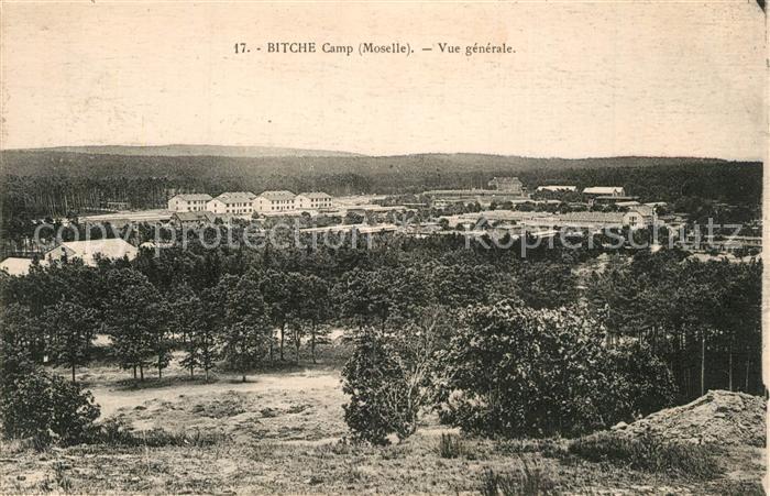 Bitche Moselle Camp Vue generale