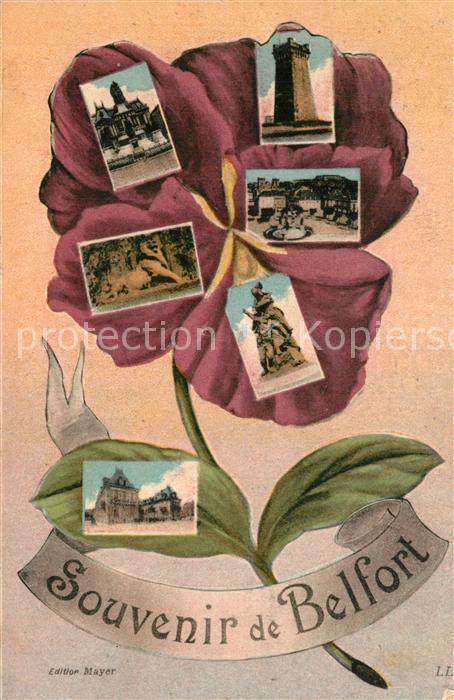 Belfort Alsace Vue partielle