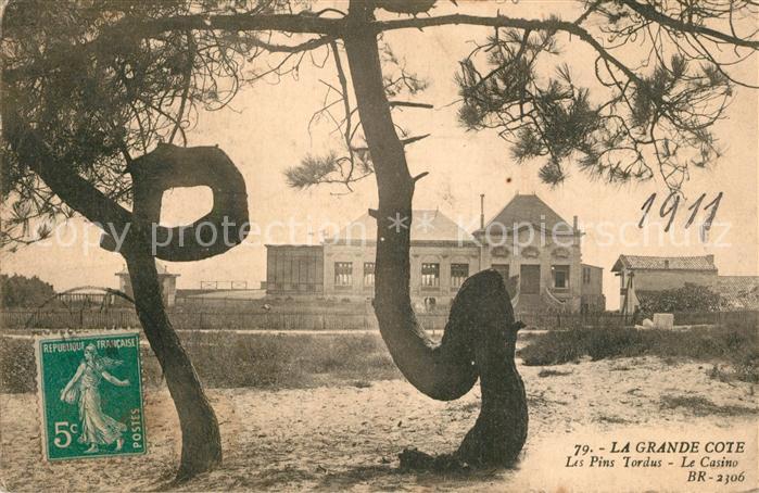 La Grande Cote Les pins Tordus Casine