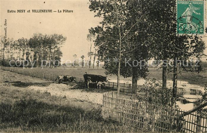 Misy-sur-Yonne La Patare