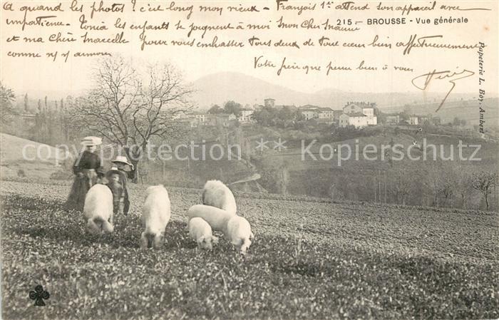 Brousse d Ambert Panorama Schafe