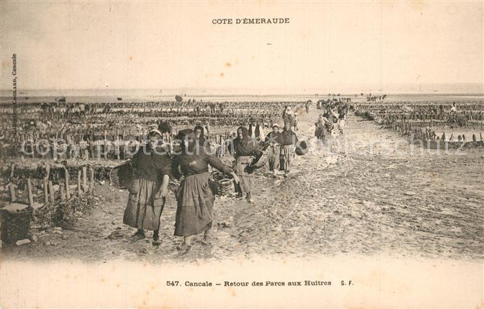 Cancale Retour des parcs aux Huitres