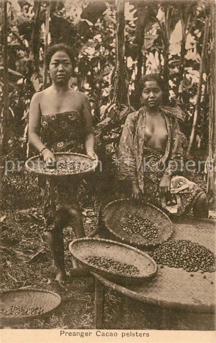 Indien Nederlandsch Indie Preanger Cacao pelsters