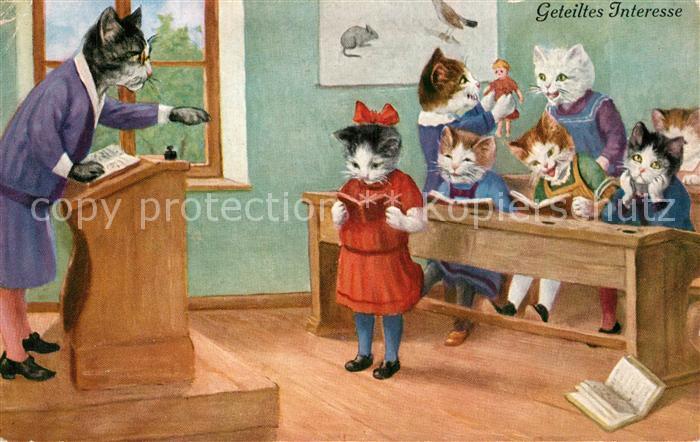 Luebeck Katzenschule Geteiltes Interesse
