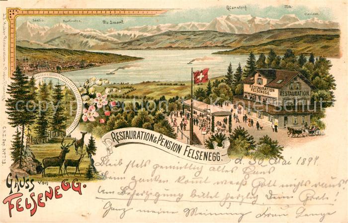 Felsenegg Panorama Restauration und Pension Felsenegg