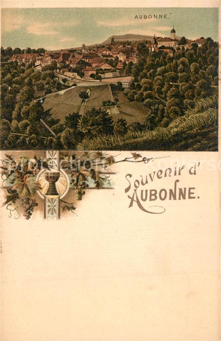 Aubonne VD Panorama