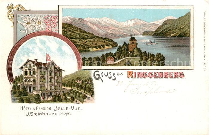 Ringgenberg Brienzersee Hotel Pension Belle Vue