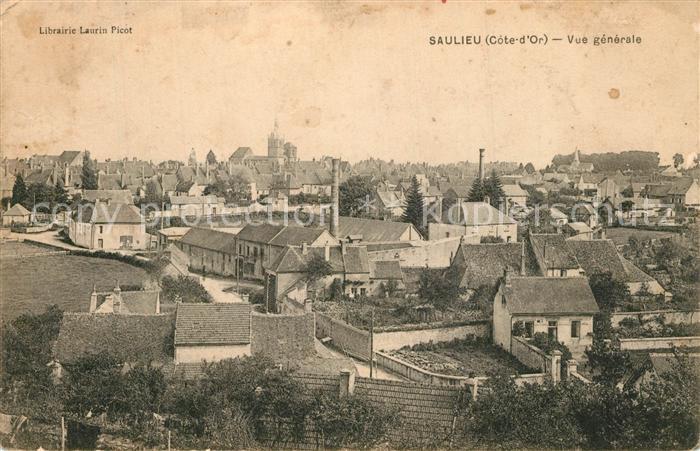 Saulieu Vue generale