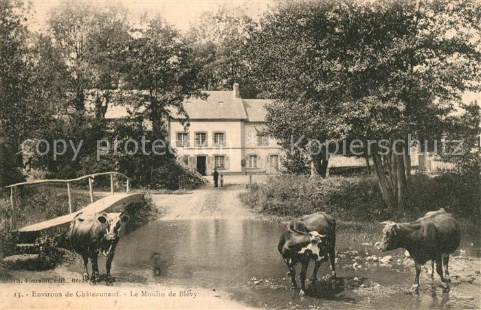 Dampierre-sur-Blevy Le Moulin de Blevy