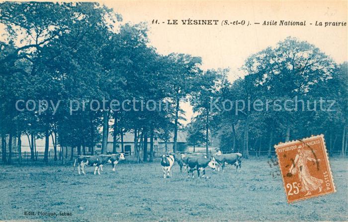 Le Vesinet Asile National La prairie