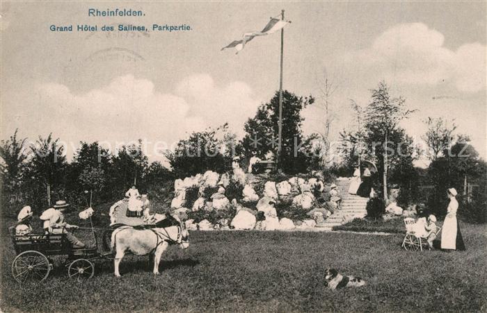 Rheinfelden Baden Grand Hôtel des Salines Park