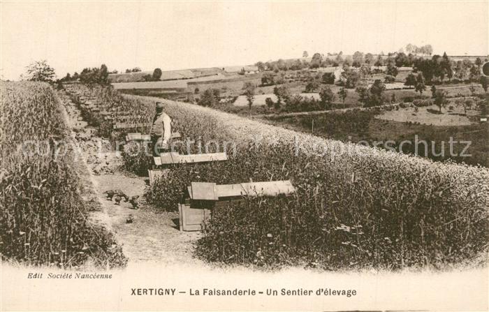 Xertigny La Faisanderie un sentier d élevage