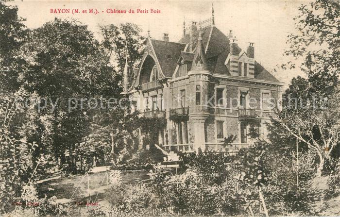 Bayon Chateau du Petit Bois
