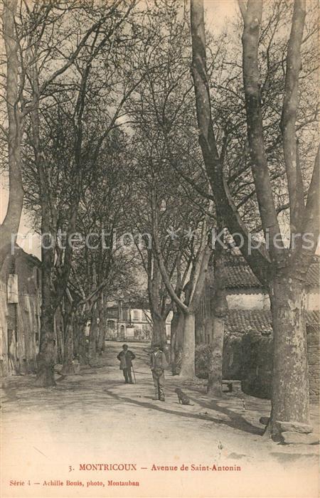 Montricoux Avenue de Saint Antonin
