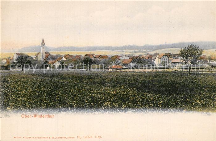 Winterthur ZH Ober-Winterthur Panorama Kirche