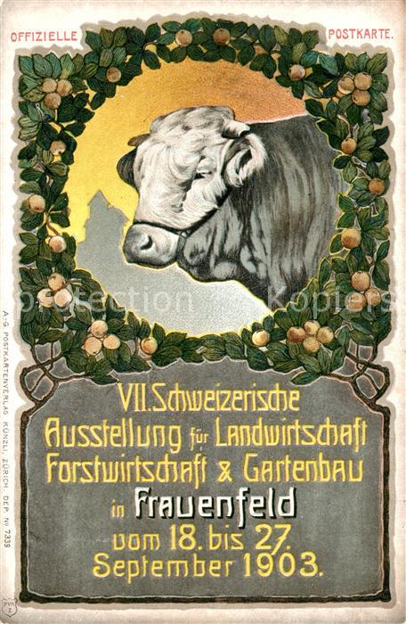 Frauenfeld VII. Schweizerische Ausstellung Landwirtschaft Forstwirtschaft Garten
