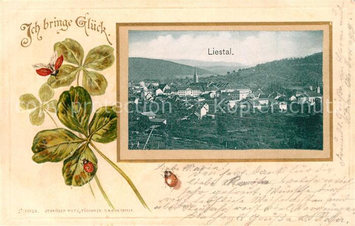 Liestal Panorama Glueckskleeblaetter Marienkaefer