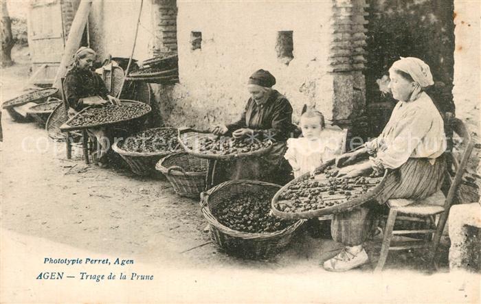 Agen Lot et Garonne Triage de la Prune