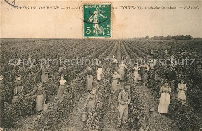 Vouvray Indre-et-Loire Les vins de Touraine Cucillette des rai