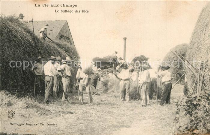 Landwirtschaft Vie aux Champs Battage des Bles