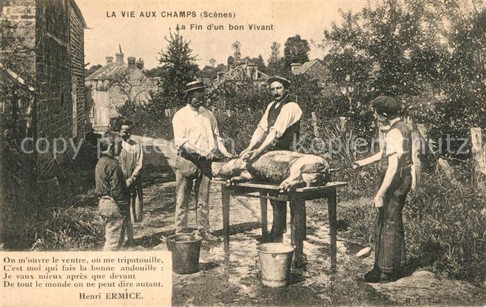 Schweine Vie aux Champs Fin d_un bon Vivant