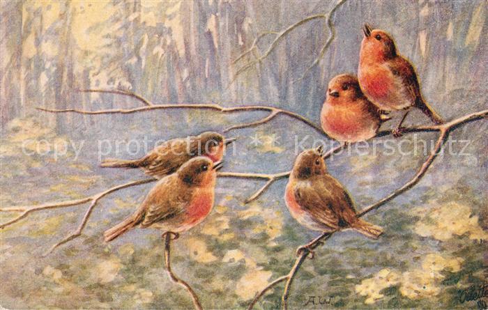 V?gel Rotkehlchen Robin redbreast Verlag-Tucks-Nr. 9788