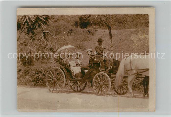 Pferdekutschen Privat-Foto