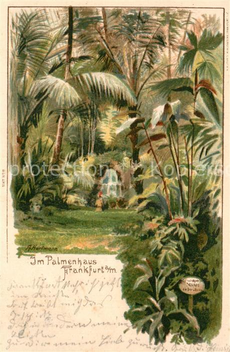 Hartmann A. Palmenhaus Frankfurt am Main