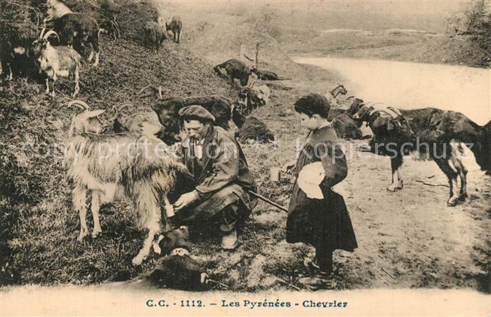 Orthez Chevrier aux Pyrénées
