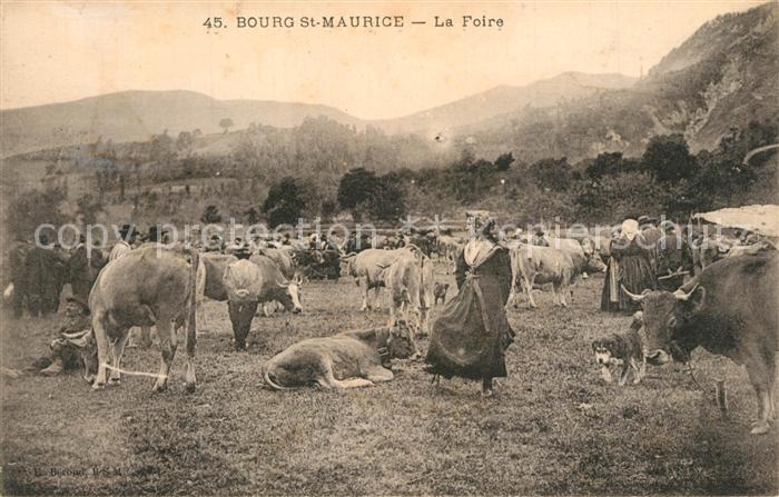 Bourg-Saint-Maurice La Foire