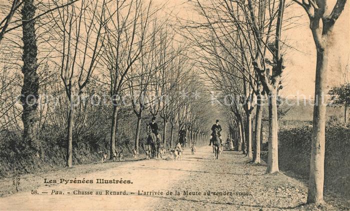 Pau 64 Chasse au Renard l’arrivee de la Meute al rendez-vous