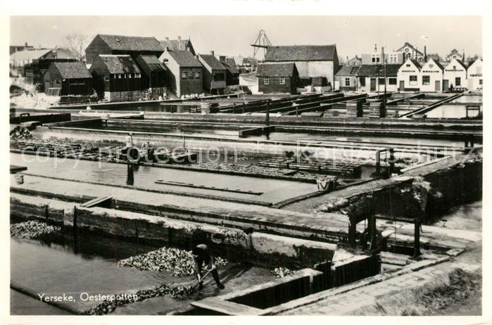 Yerseke Oesterputten