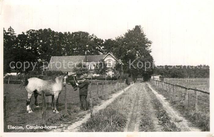 Ellecom Carolina hoeve