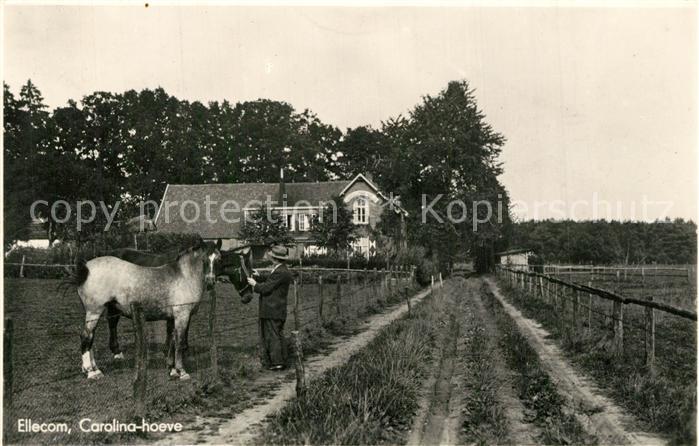 Ellecom Carolina hoeve