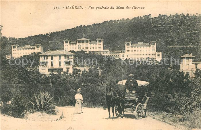 Hyeres les Palmiers Vue generale du Mont des Oiseaux