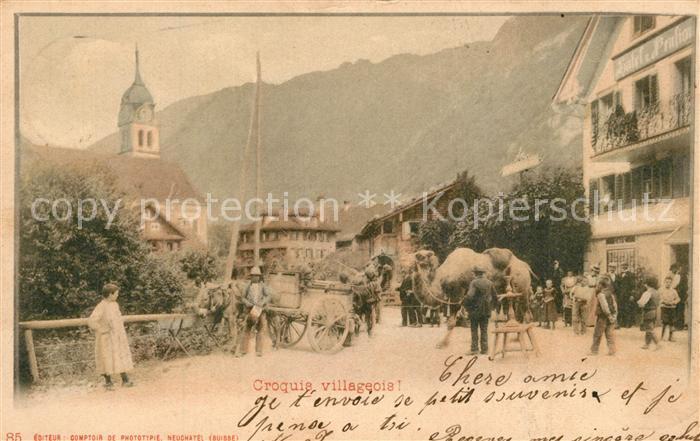 Kamel  Camel Chameau Schweiz