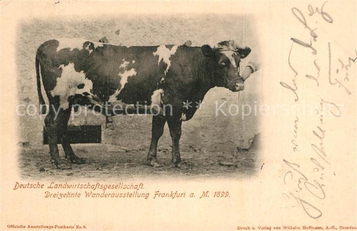 K?he Deutsche Landwirtschaftsgesellschaft Wanderausstellung Frankfurt