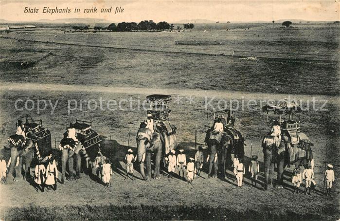 Elefant State Elephants India