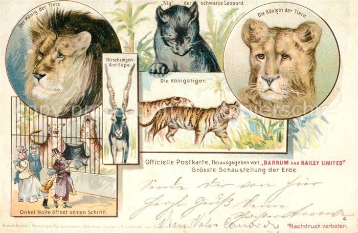 Zoo L?we Hirschziegen-Antilope Leopard Tiger Barnum and Bailey Limited Litho