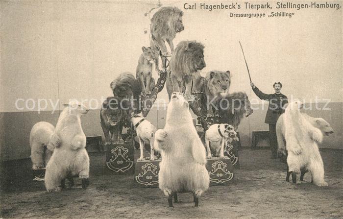 Hagenbeck Tierpark Stellingen-Hamburg Dressurgruppe Schilling Eisb?ren L?wen