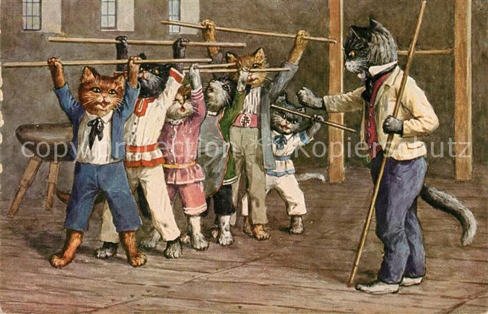 Vermenschlicht Katzen Turnen