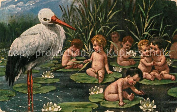 Thiele Arthur Stroch Babys Seerosen