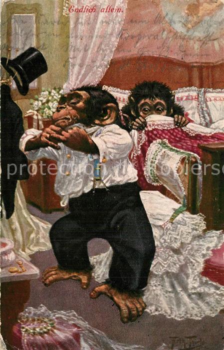 Thiele Arthur Endlich allein Vermenschlicht Affen Zylinder Bett