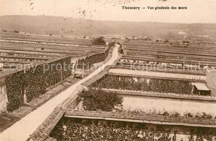 Thomery Vue Generale des murs