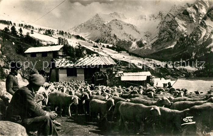 Saint-Veran Rentree des Transhumants Tete de Longet