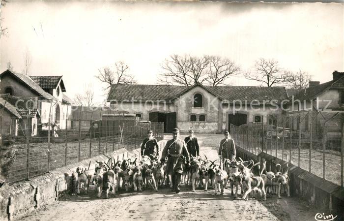 Vouzeron Equipage Vouzeron Sologne Sortie du Chenil